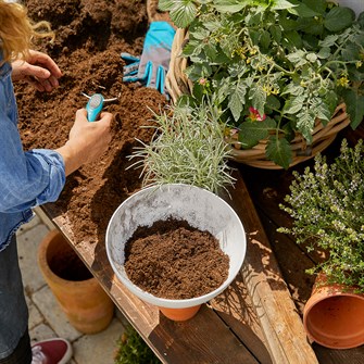 Til fin pynt hele året
