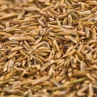 WOLF-Garten Græsfrø Turboreparation