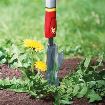 WOLF-Garten Multi-Star IW-M - fjerner effektivt mælkebøtter med rod