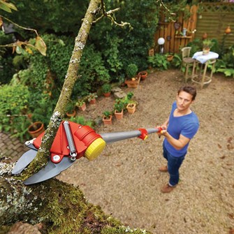 WOLF-Garten Teleskop-stangsaks med klippediameter på 32 mm