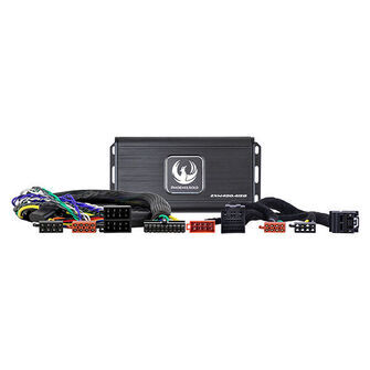 Phoenix Gold Forstærker kit til Ford 2018-