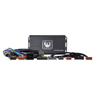 Phoenix Gold Forstærker kit til Ford 2012-