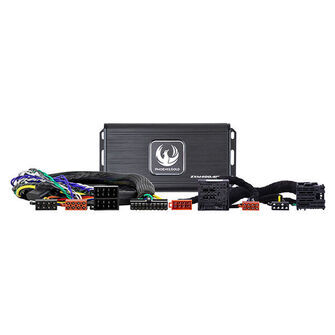 Phoenix Gold Forstærker kit til Citroën, Peugeot 2015-