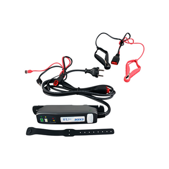 Lader 12V / 4.0 A - exide - Variant